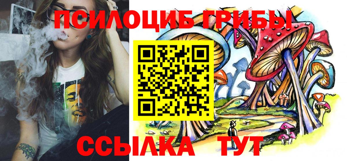 Ирбит  Псилоцибиновые грибы MAGIC MUSHROOMS  Вход с VPN  Псилоцибиновые грибы Psilocybine cubensis 